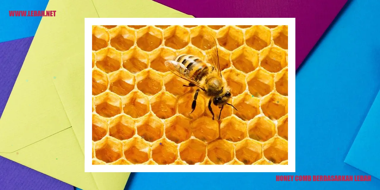 honey comb berdasarkan lebah