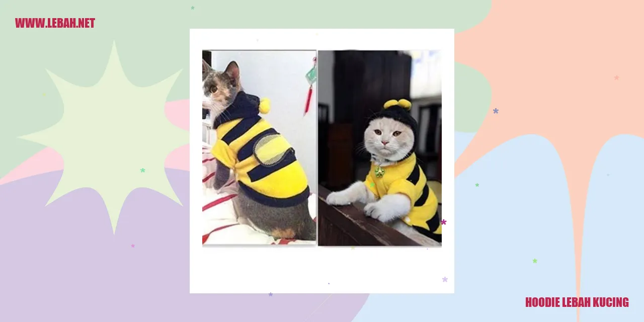 hoodie lebah kucing