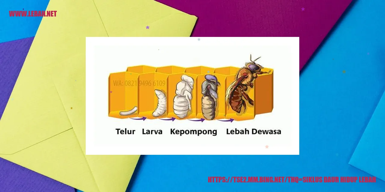 siklus daur hidup lebah