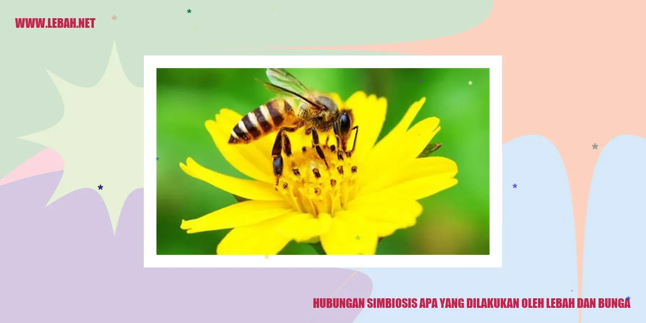 Gambar Hubungan Simbiosis Lebah dan Bunga