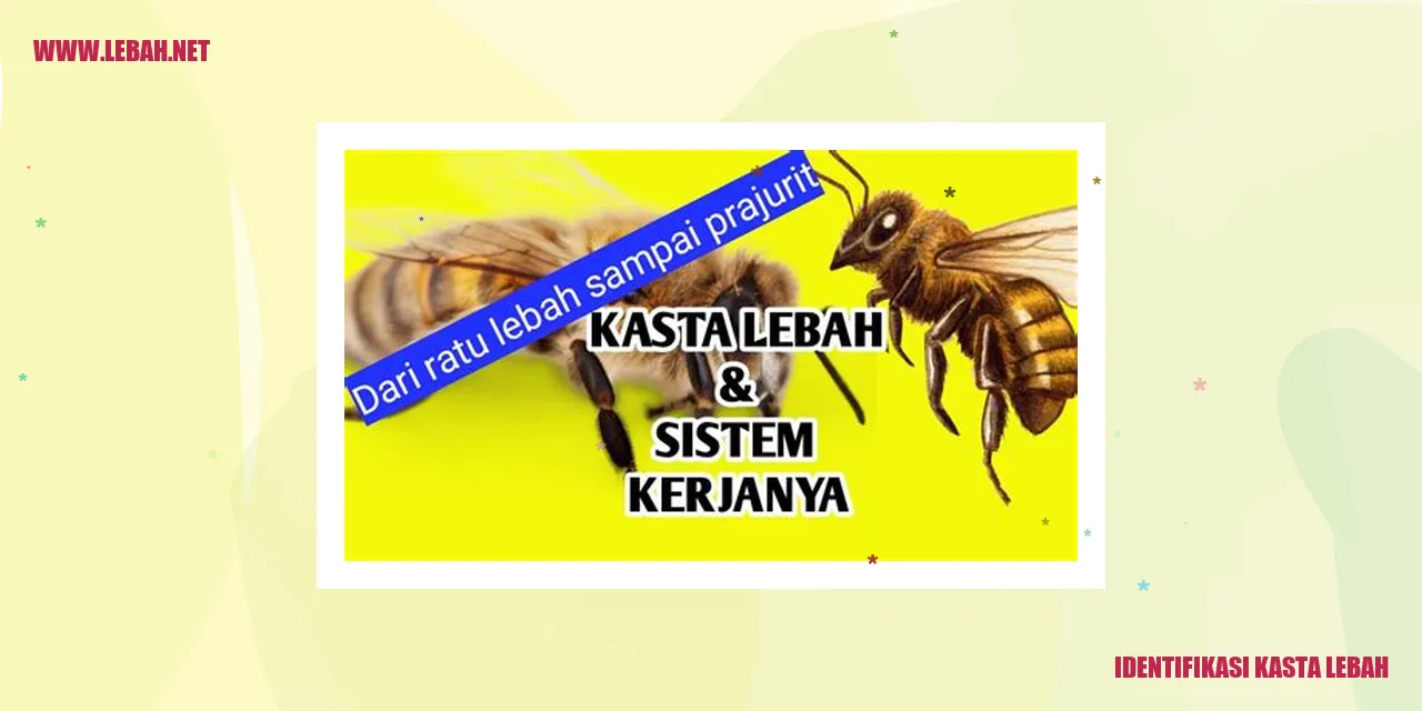 Kasta Lebah