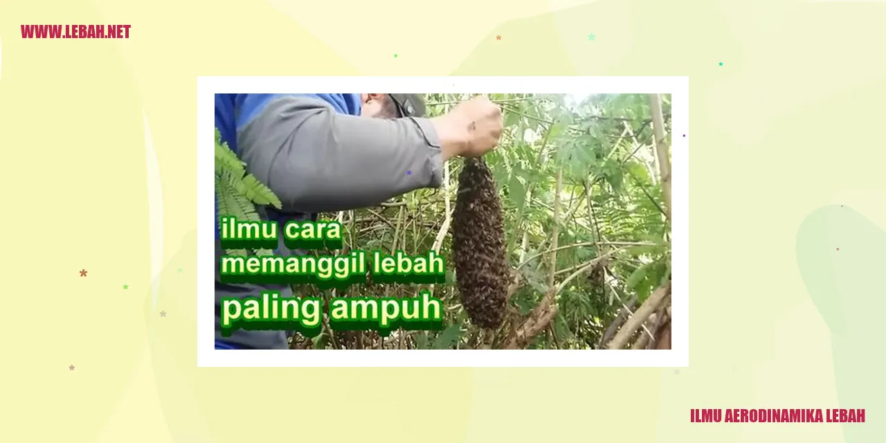 ilmu aerodinamika lebah