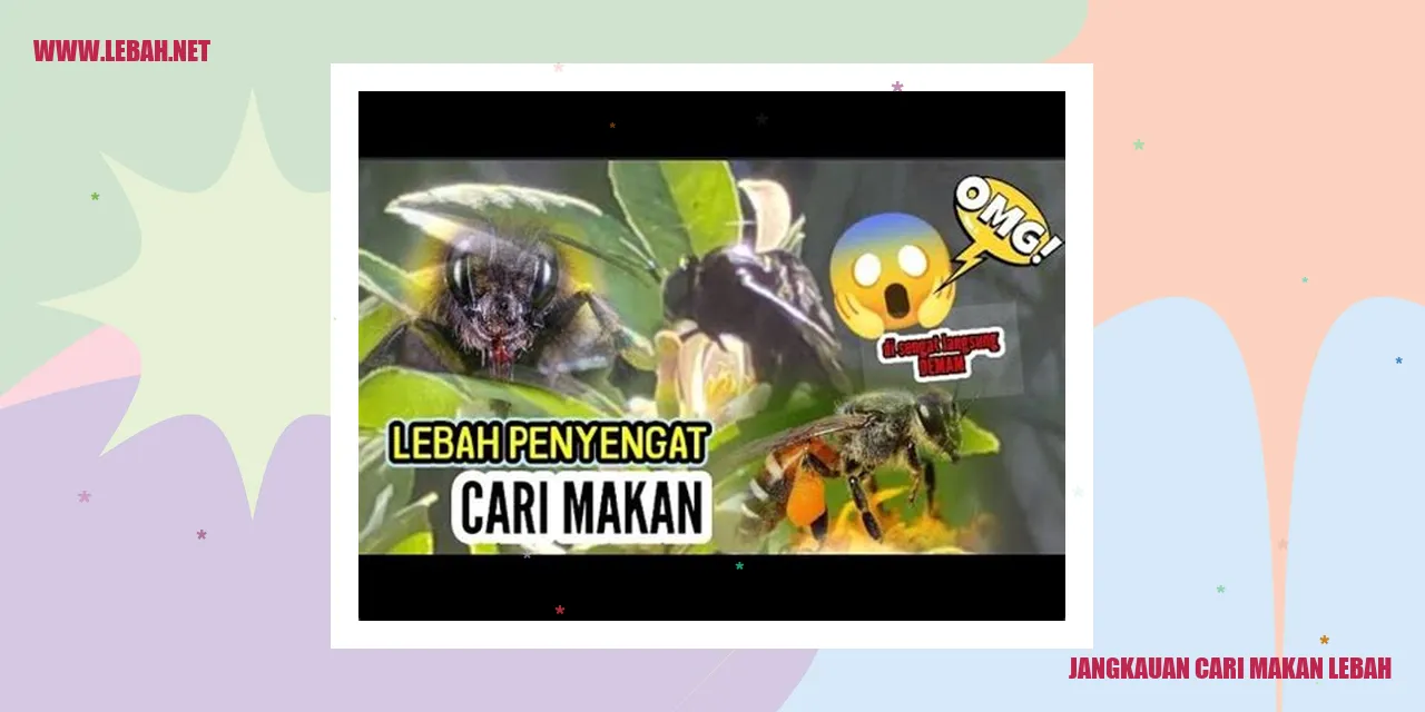 jangkauan cari makan lebah
