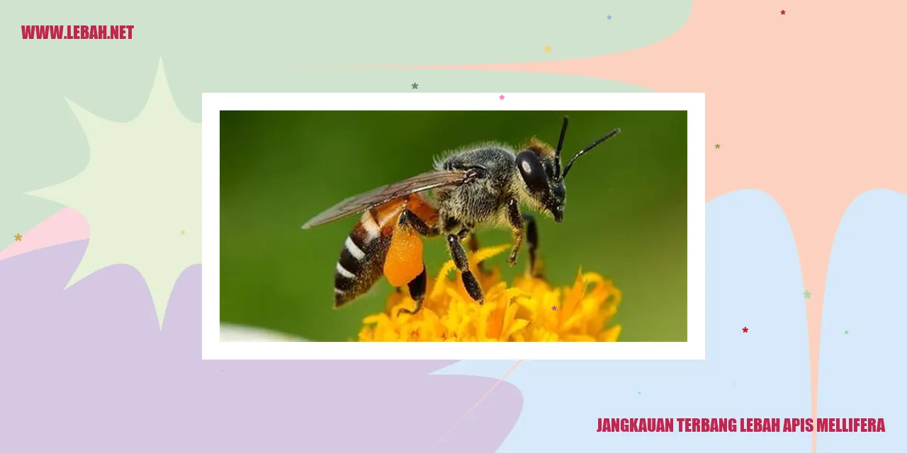 Lebah Apis Mellifera