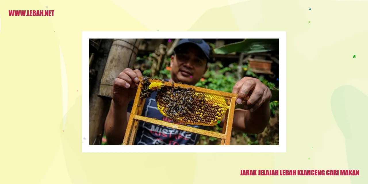 jarak jelajah lebah klanceng cari makan