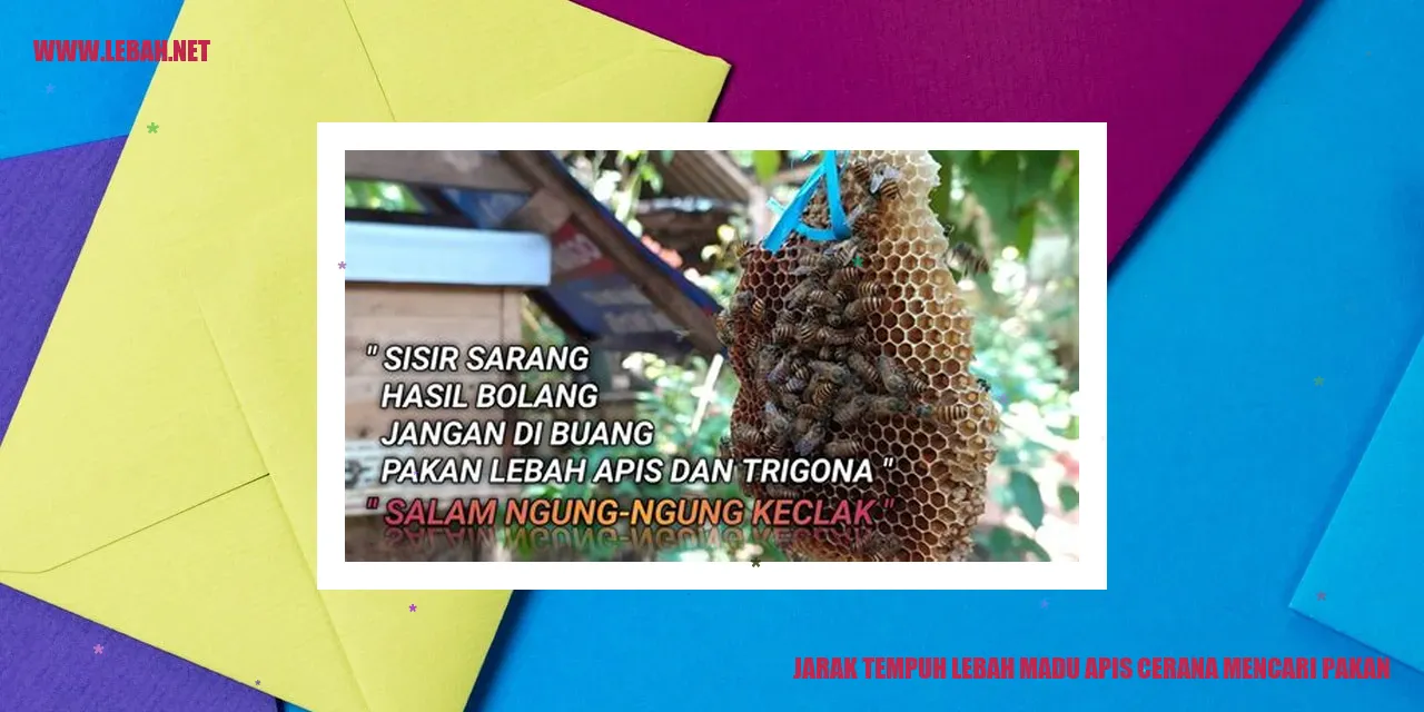 Lebah Madu Apis Cerana
