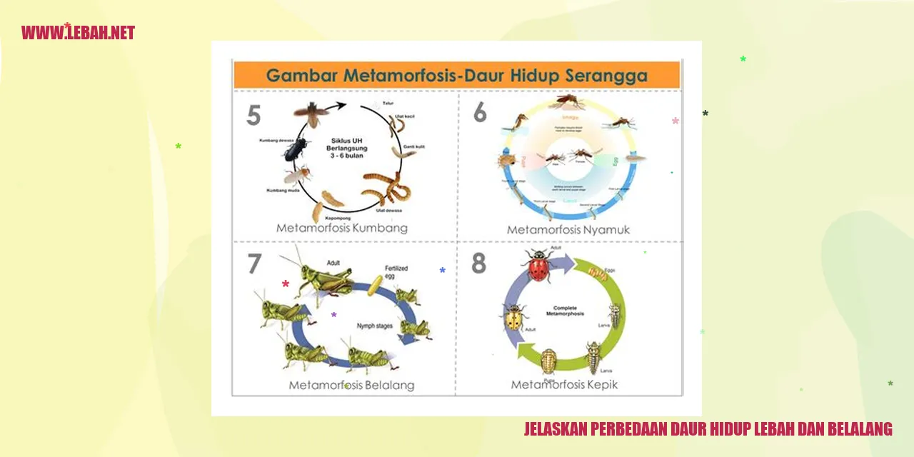 Perbedaan Daur Hidup Lebah dan Belalang