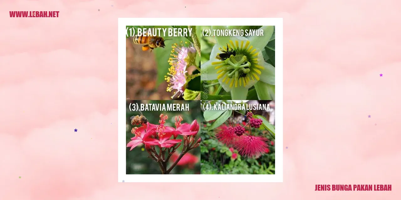 Jenis Bunga Pakan Lebah