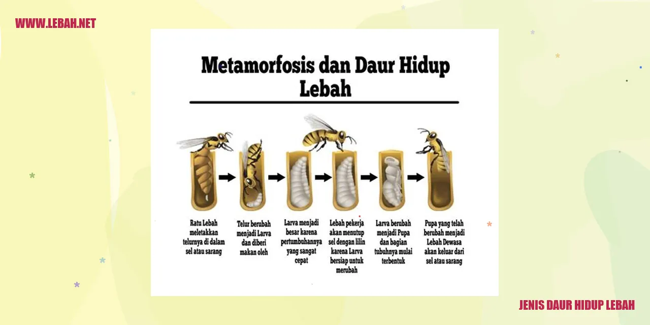 Jenis Daur Hidup Lebah