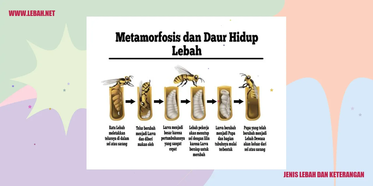 berbagai jenis lebah