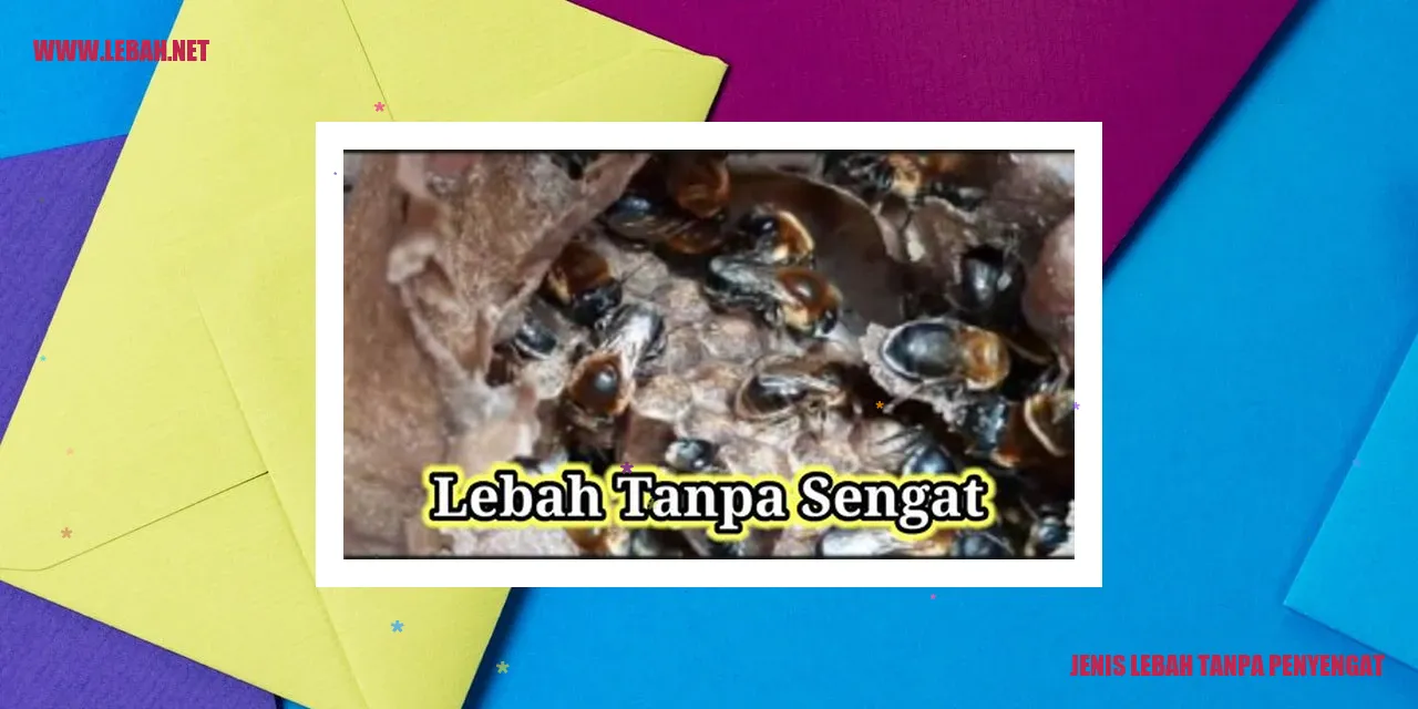 Jenis Lebah Tanpa Penyengat