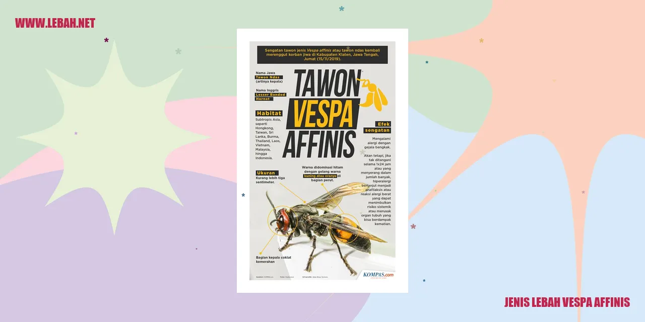 Lebah Vespa Affinis
