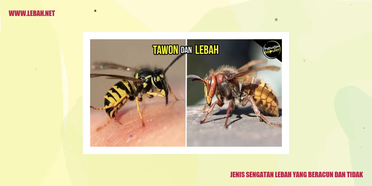 jenis sengatan lebah yang beracun dan tidak