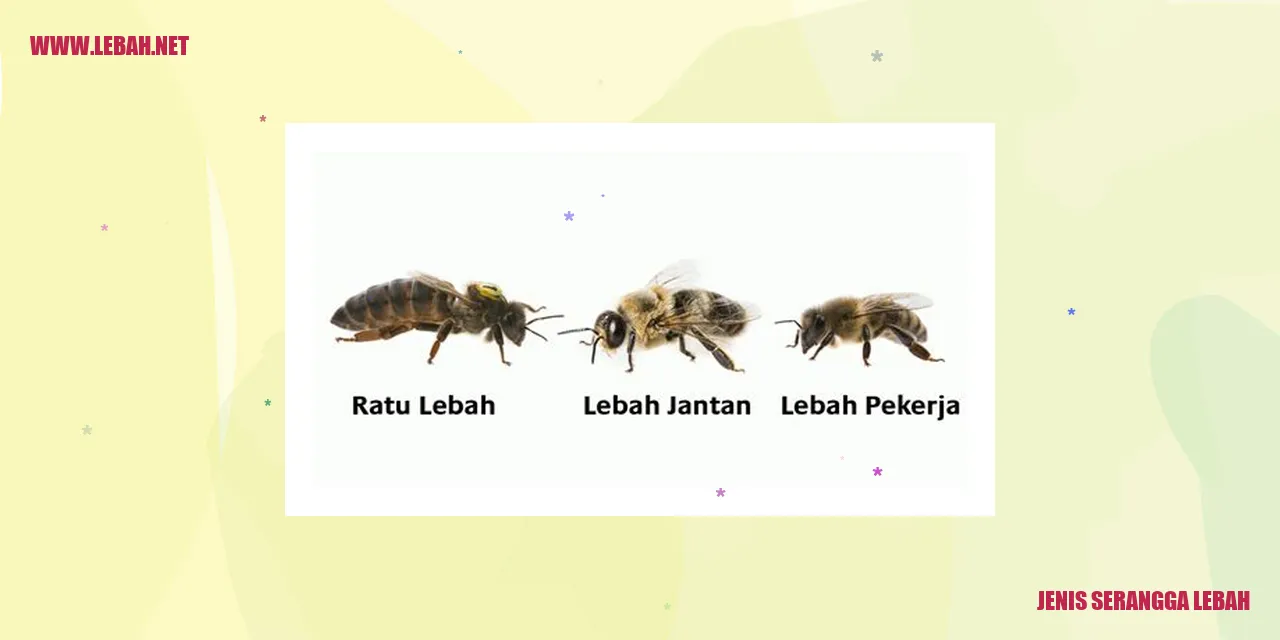 jenis serangga lebah