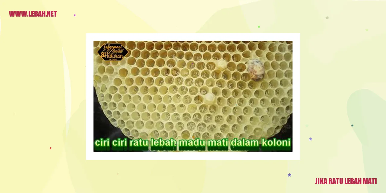 gambar lebah