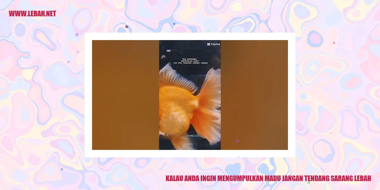 madu lebah