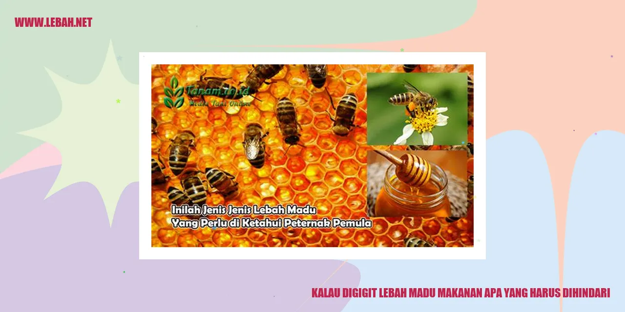 Lebah Madu