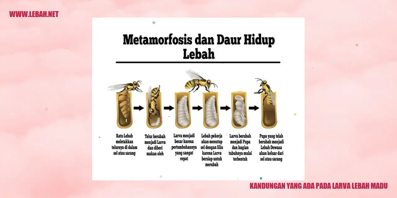 Larva Lebah Madu