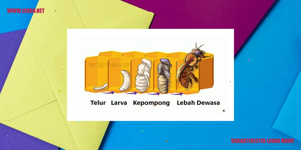 Lebah Madu
