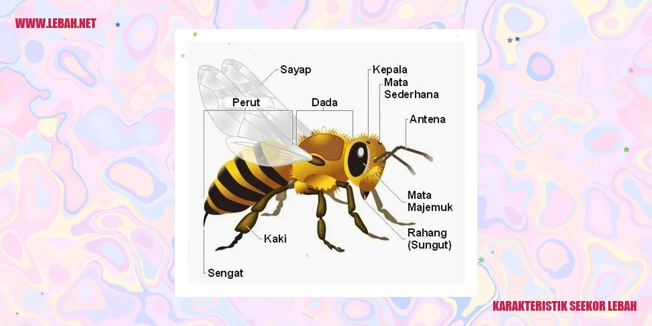 karakteristik seekor lebah