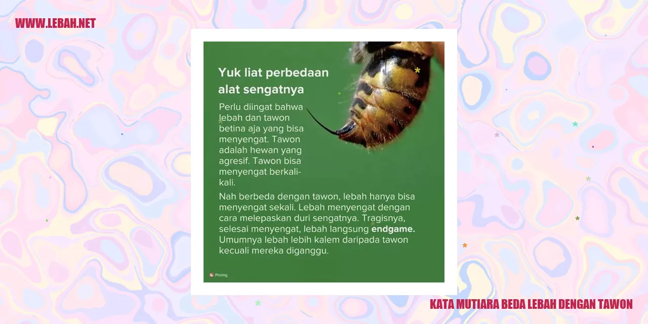 Tawon dan lebah