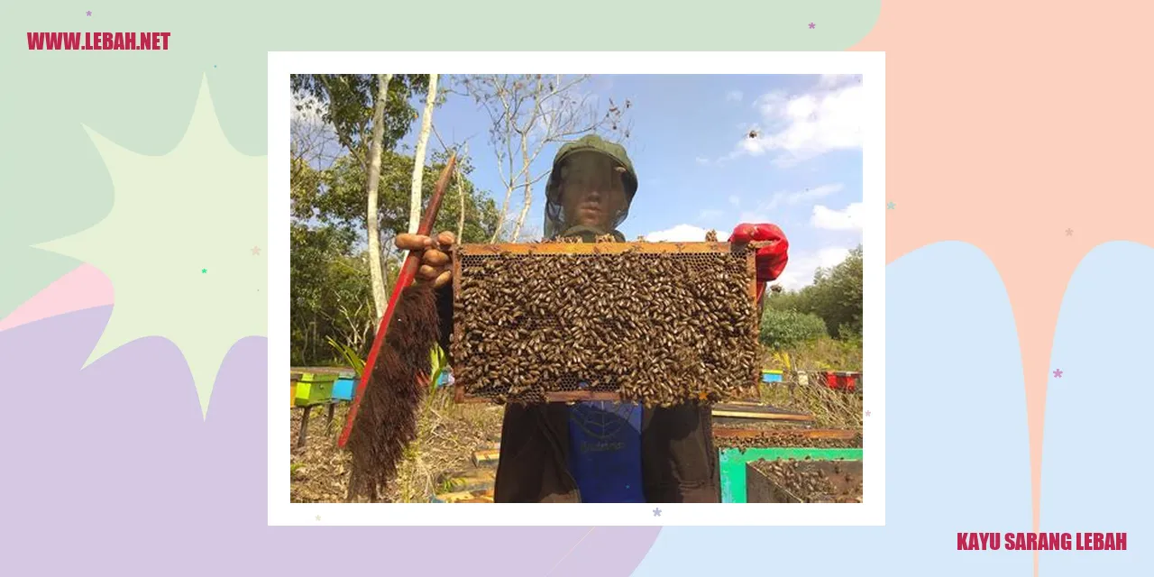 kayu sarang lebah