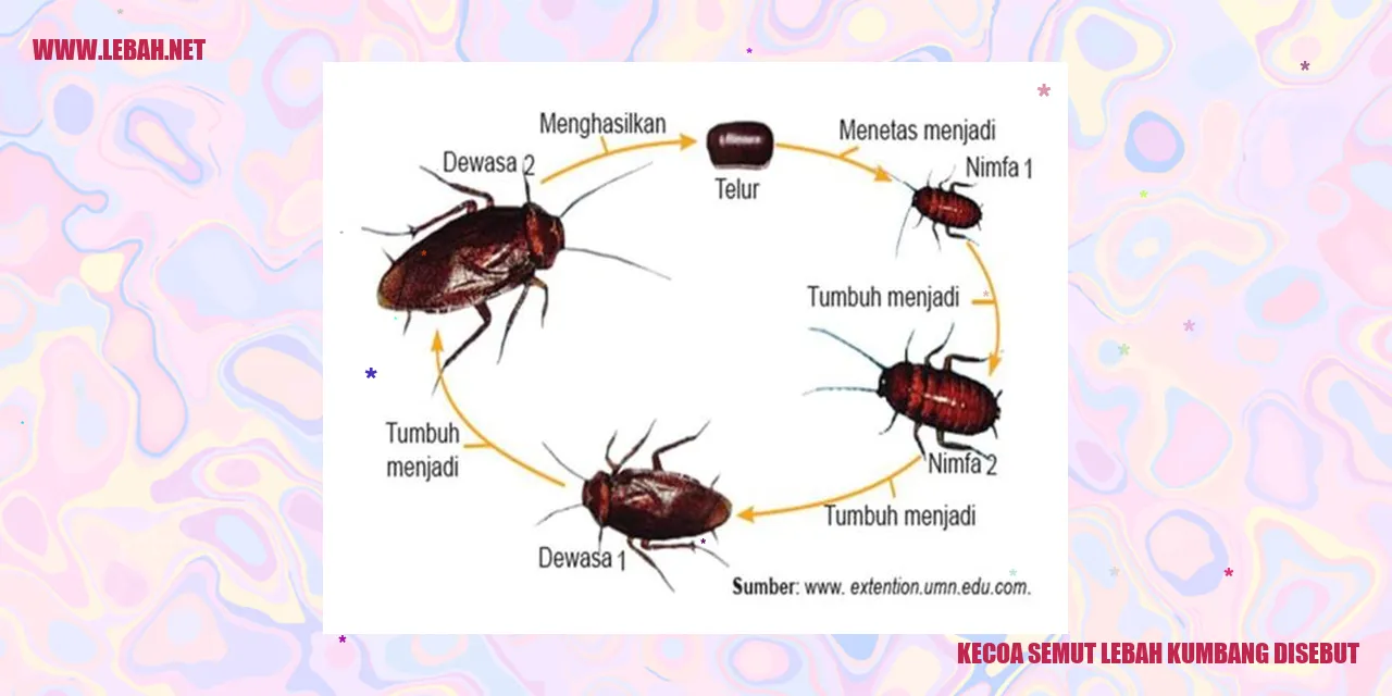 kecoa semut lebah kumbang disebut