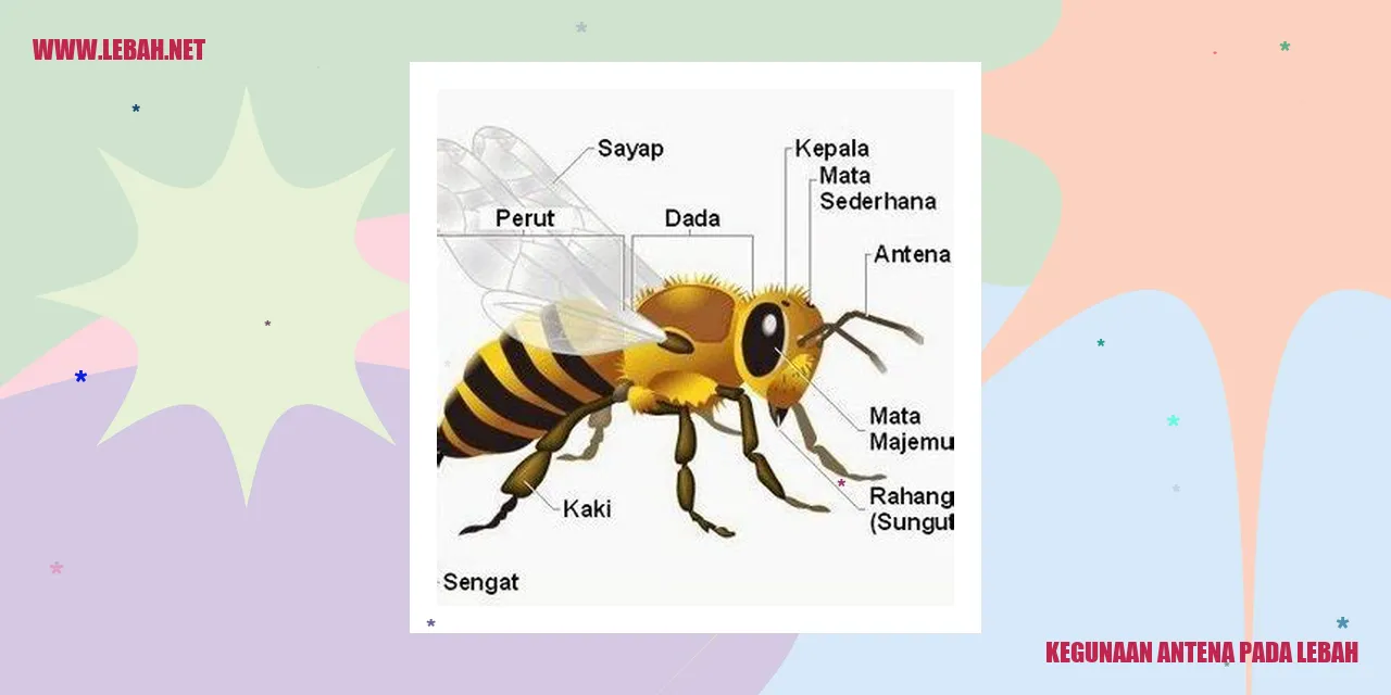 Antena pada lebah