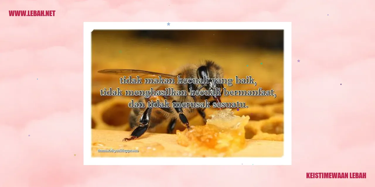 Lebah mengumpulkan nektar