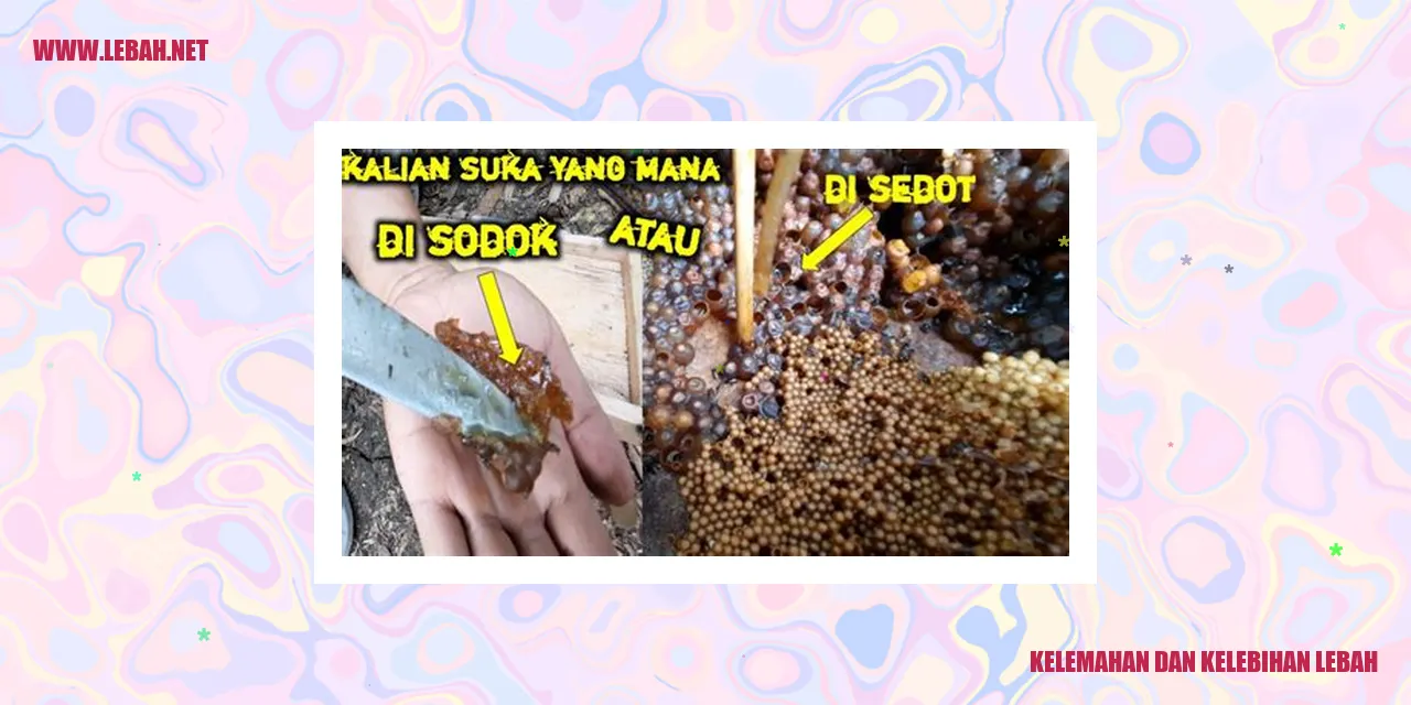 lebah melakukan penyerbukan pada bunga