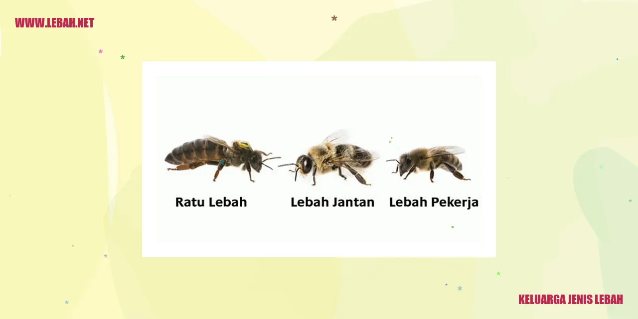 Lebah Madu