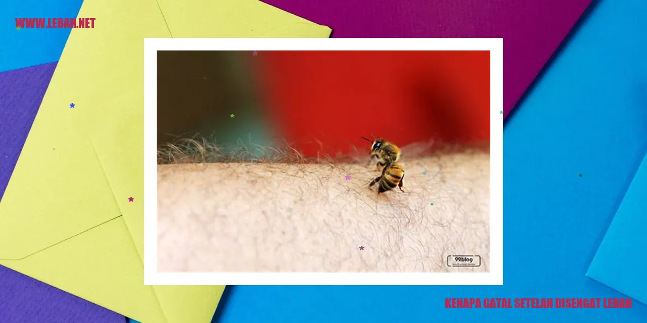 gambar lebah
