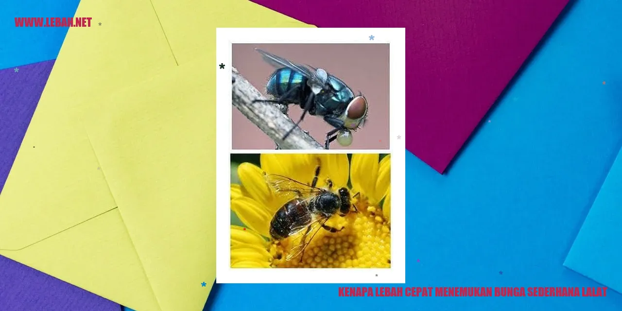 Lebah Menemukan Bunga