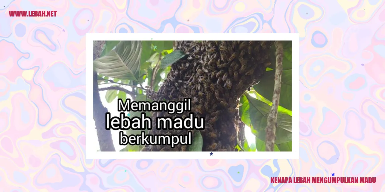 Gambar Lebah Mengumpulkan Madu