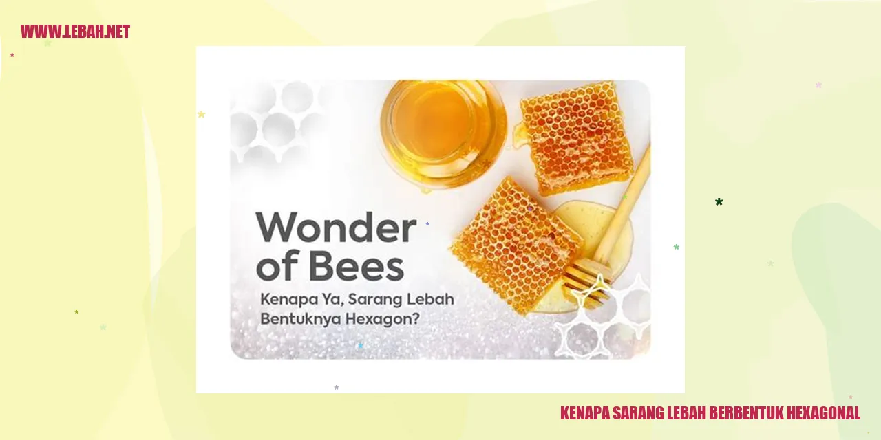 Gambar Sarang Lebah