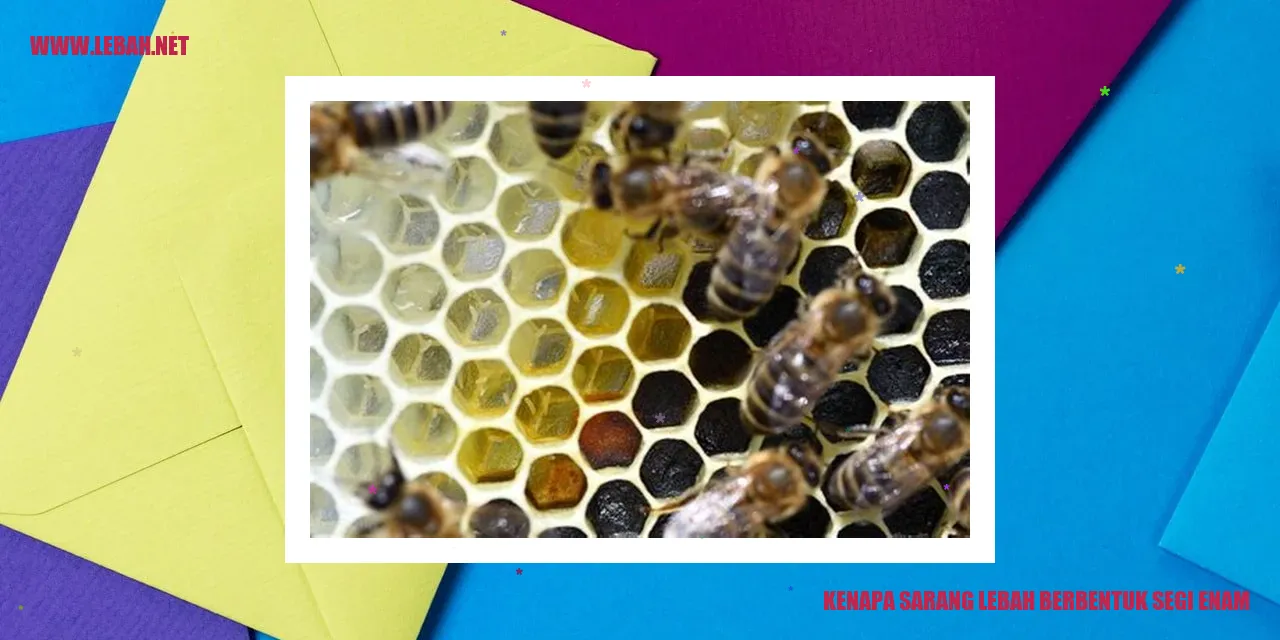sarang lebah berbentuk segi enam