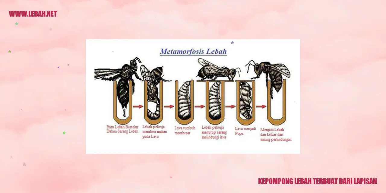 Kepompong Lebah Terbuat Dari Lapisan