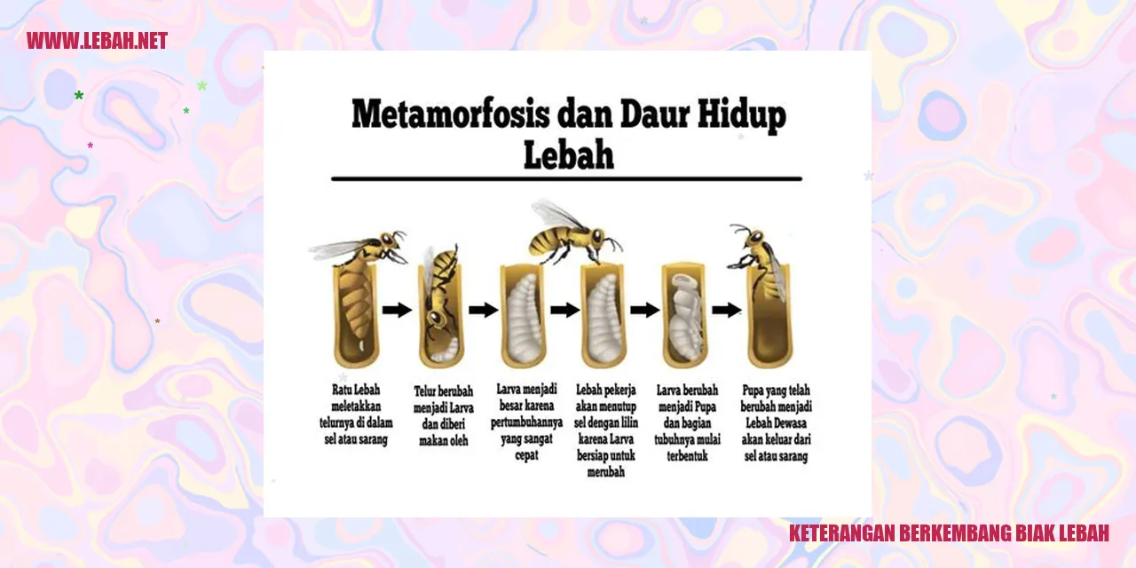 keterangan berkembang biak lebah