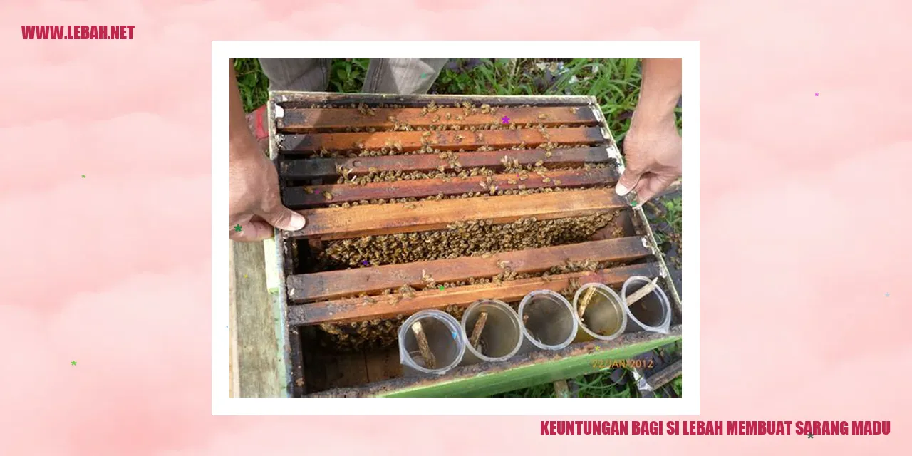 Keuntungan Bagi Si Lebah Membuat Sarang Madu