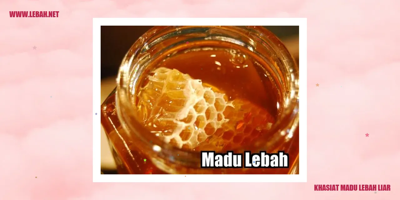 khasiat madu lebah liar