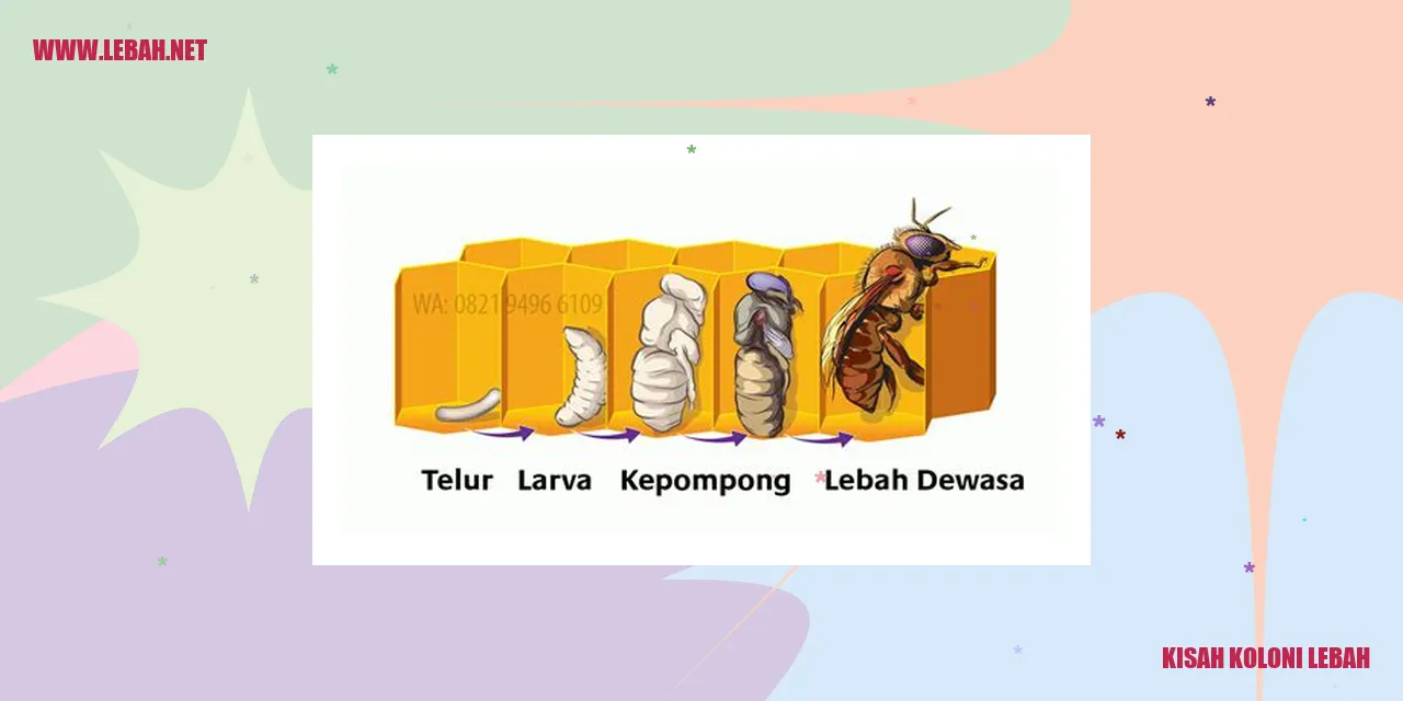 kisah koloni lebah