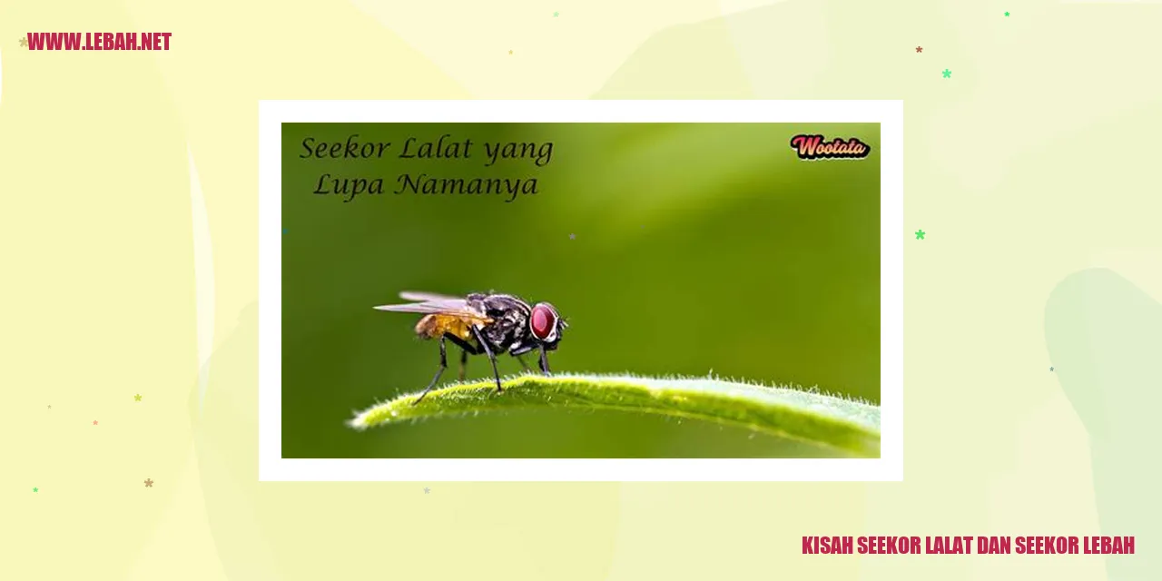 kisah seekor lalat dan seekor lebah