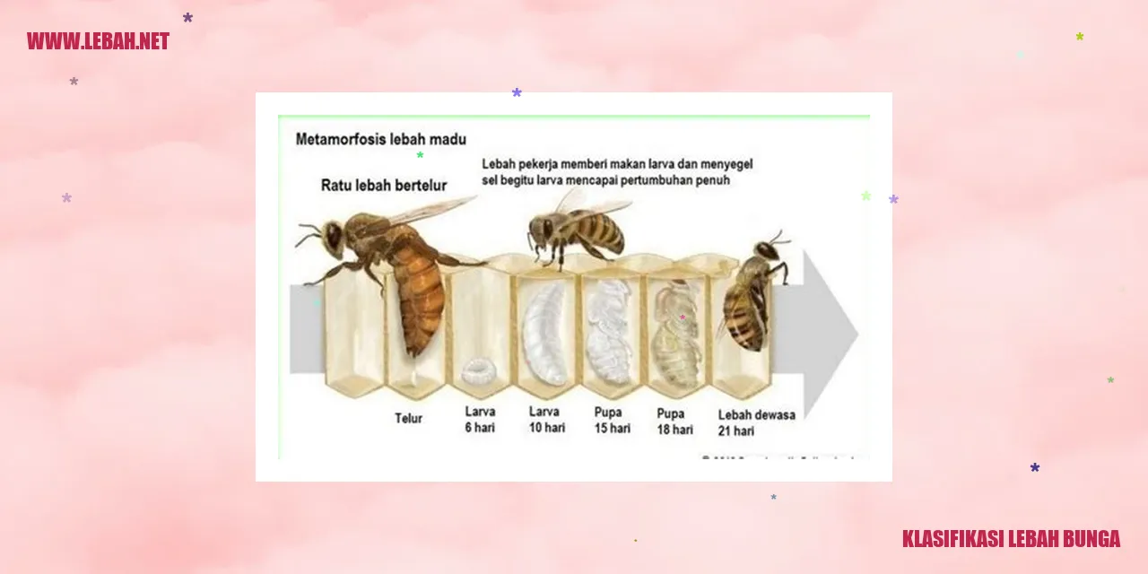klasifikasi lebah bunga