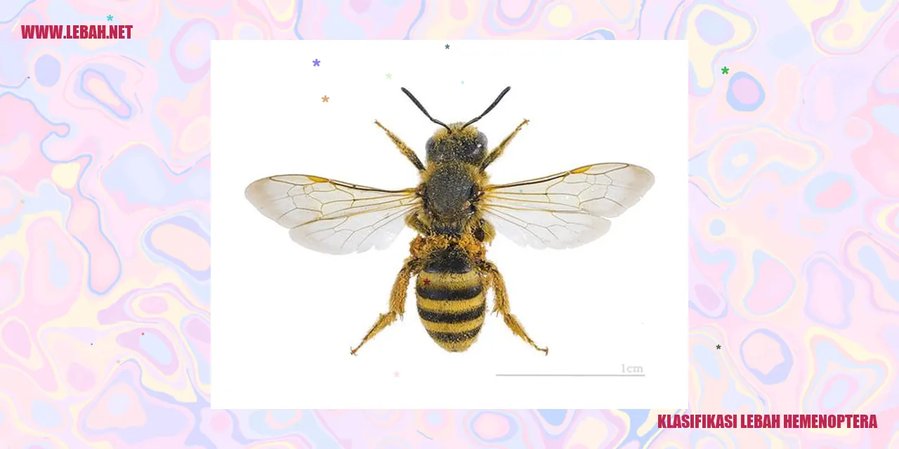 klasifikasi lebah hemenoptera
