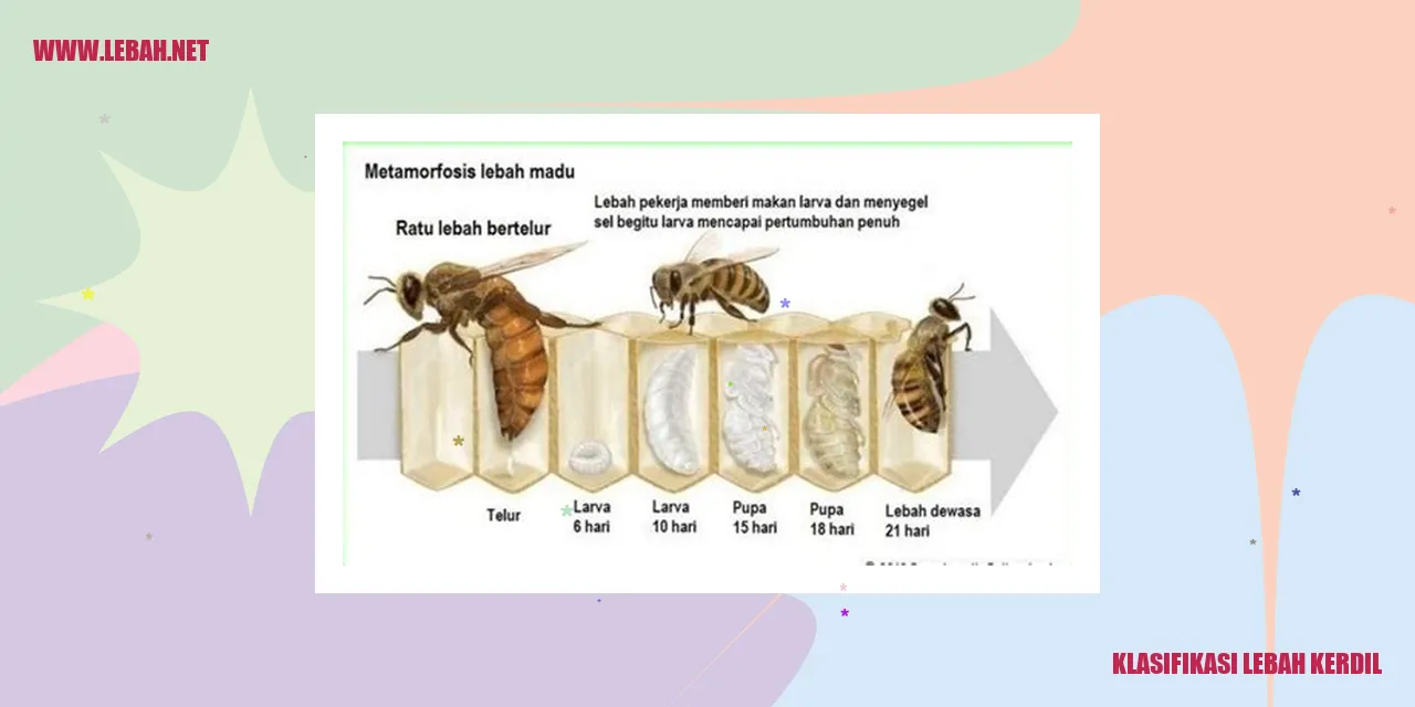 Lebah Kerdil Srigokil