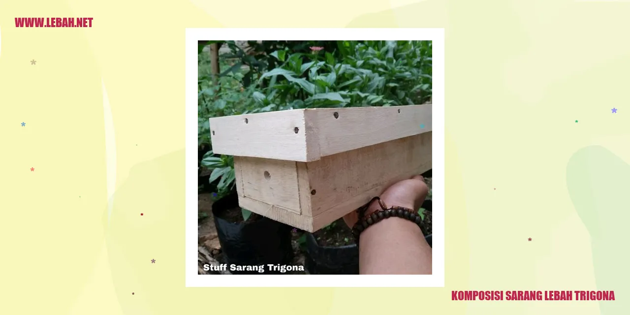 sarang lebah trigona