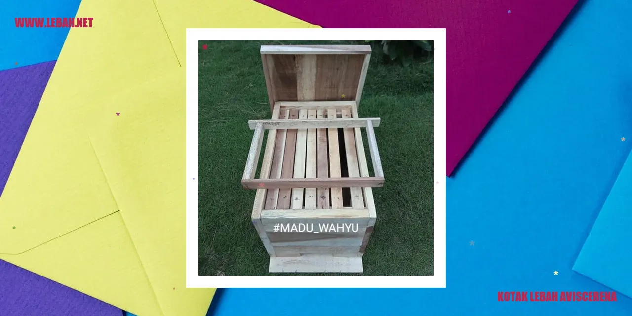 Kotak Lebah Aviscerena