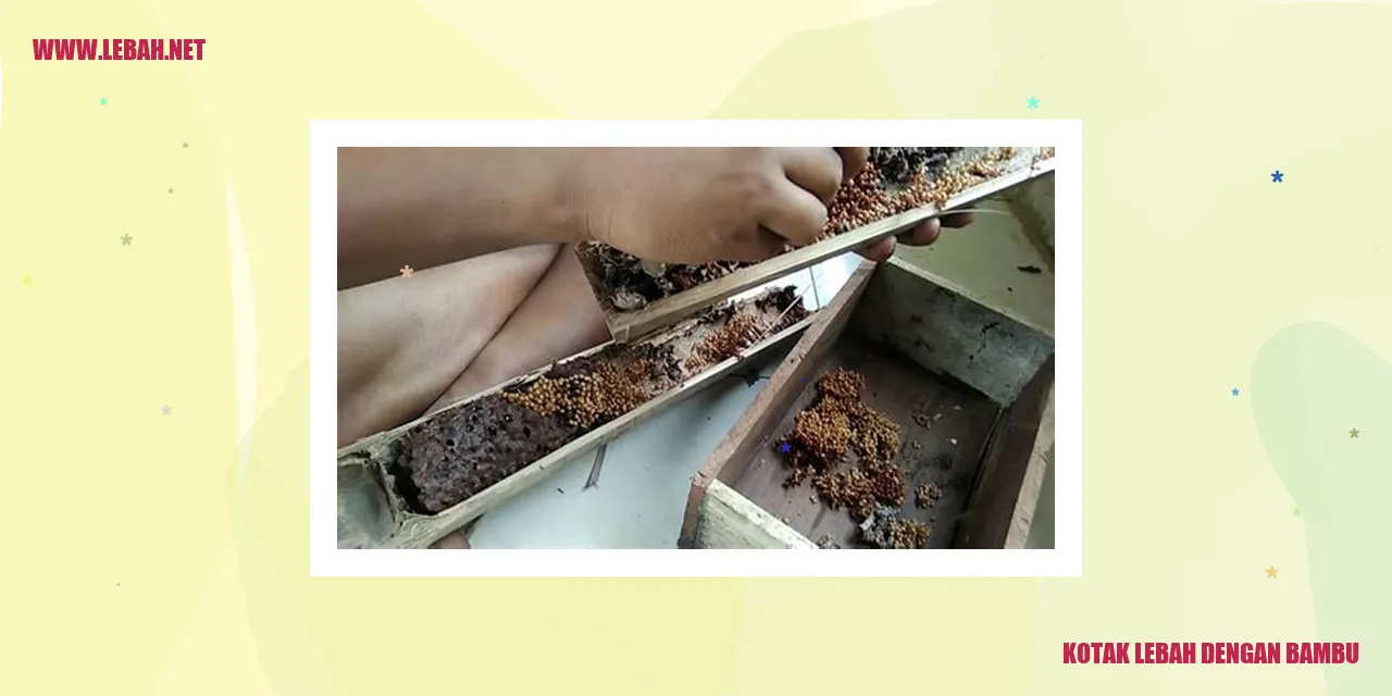kotak lebah dengan bambu