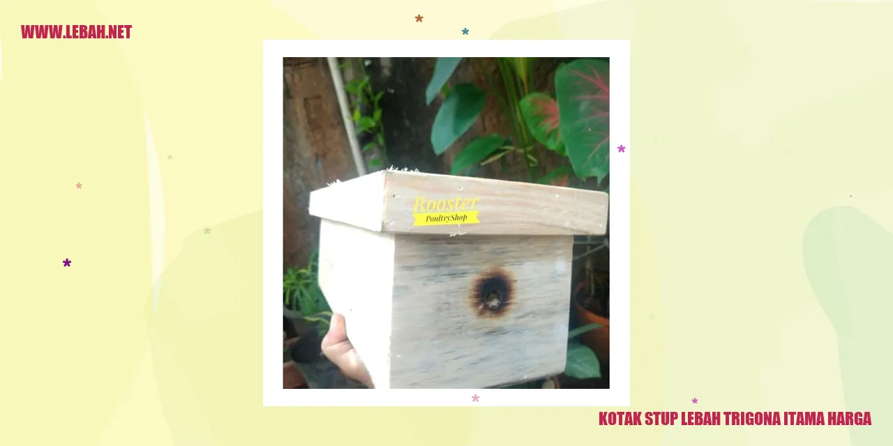 Kotak Stup Lebah Trigona Itama