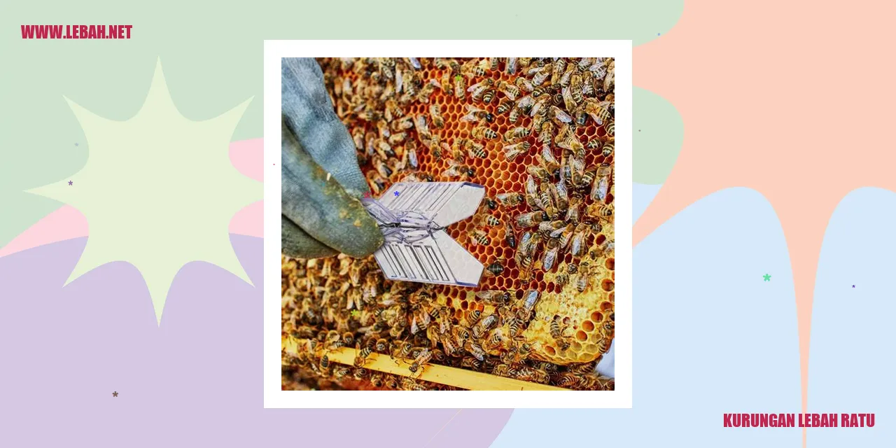 Kurungan Lebah Ratu
